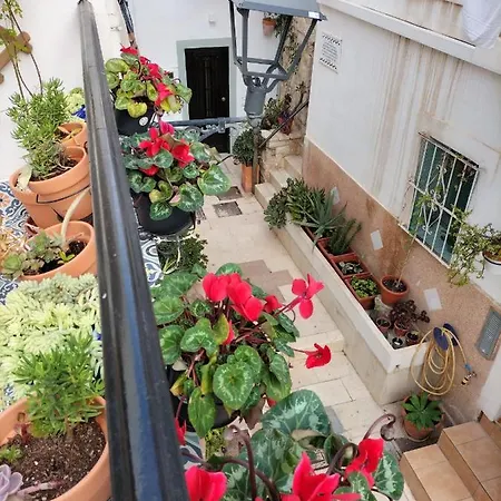 Holiday home Private Terrace-romantic-sea, Castle Views-central *