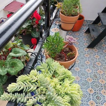 Private Terrace-romantic-sea, Castle Views-central *